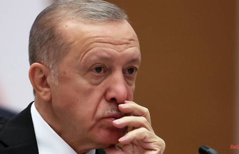 "More robust Turkey policy": Traffic light politicians demand penalties for Erdogan