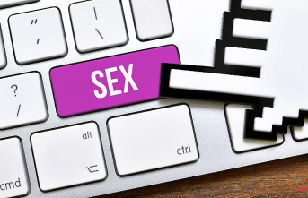 Access too easy for young people: Porn portals fail in court