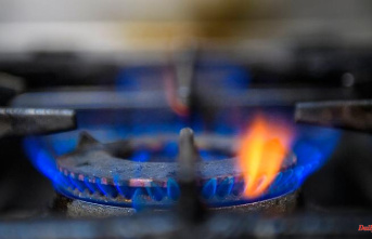 More suitable heating cost subsidy: DIW advises against gas price caps for relief