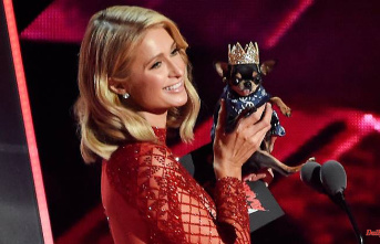 With detective and drone plans: Paris Hilton is looking for her dog