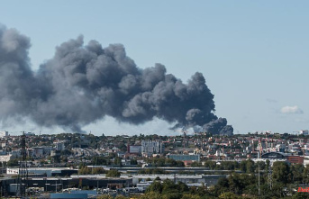 Huge clouds of smoke over Paris: the world's largest fresh produce market is on fire