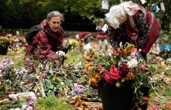 A sea of ​​flowers and teddies: London cleans up after the Queen's funeral