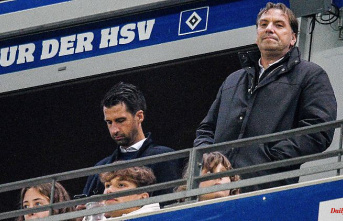 How to continue after Wüstefeld-Aus?: Hamburger SV chokes on bad medicine