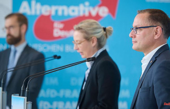 Investigations into party donations: AfD reports a search of the federal office