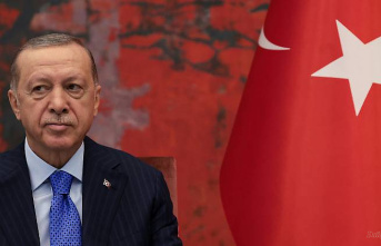 Tiktok videos cause trouble: Turkey is investigating Erdogan's filter online