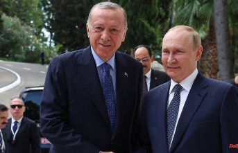 Purpose relationship sorely needed: Why Erdogan gets involved with Putin