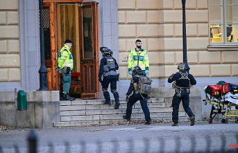 Brutal attack at high school: Swedish ax murderer gets life imprisonment