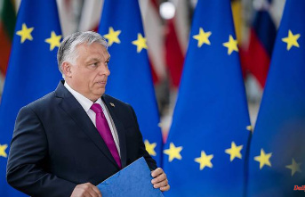 Corruption in Hungary: How the EU defends itself against the Orban system
