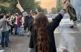 Violence against protests: Nouripour calls for sanctions against Iran's elite