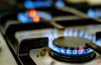 Throttling of deliveries threatens: EU Commission fears gas flow with price cap