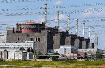 After renewed shelling: the last reactor in Zaporizhia goes offline