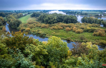 Mecklenburg-Western Pomerania: Reserve Elbe river landscape: "Hotspot of biodiversity"