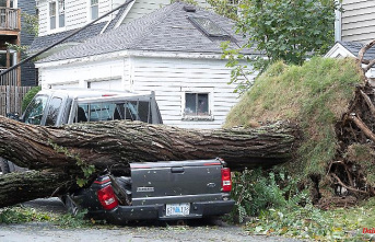 Cyclone rages over Canada: Half a million households are without electricity after "Fiona".