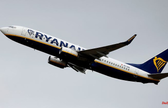 No return to Frankfurt: cheap flight pioneer Ryanair is becoming more expensive