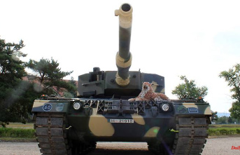 "The best tank in the world": Why Scholz is under pressure with the Leopard 2