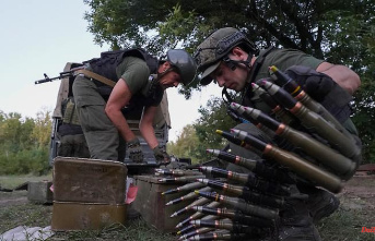 Lead motion for party congress: Greens leadership wants to deliver more weapons to Kyiv