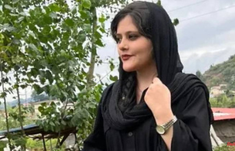 Result of mistreatment?: Iranian woman arrested by vice squad dies in coma