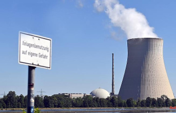 Supply also secured in this way: Energy expert Kemfert advises against nuclear power reserve