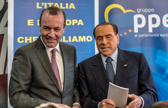 "Cooperation with anti-democrats": Weber criticized for supporting Berlusconi