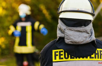 Saxony: Supporters collect donations after a fire at a horse farm