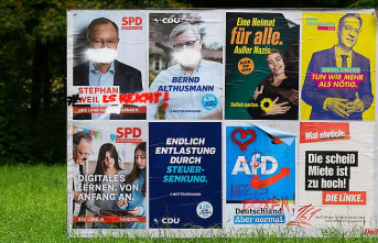 Election in Lower Saxony: Comeback of the AfD: "The hour of the populists has come"