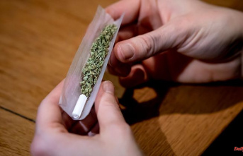Association warns of dangers: pharmacists criticize cannabis legalization