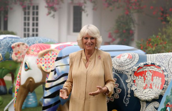 Ayurveda without Charles: Camilla on a cure in India
