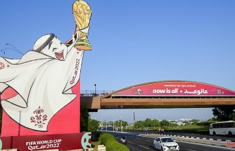 World Cup hosts take precautions: Qatar locks up drunk fans for their own protection