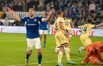 Fourth bankruptcy in a row: harmless Schalke increase pressure on the coach