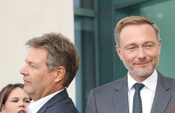 "All three nuclear power plants are necessary": Lindner slows down Habeck's Atomic Energy Act