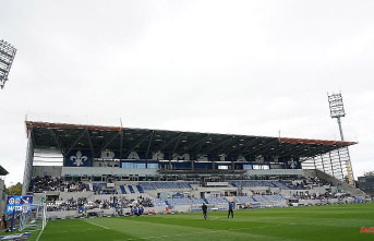 Hesse: Darmstadt 98 celebrates the opening of the stadium against Young Boys Bern