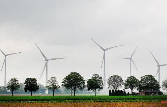 Saxony-Anhalt: 2021 more greenhouse gases emitted in Saxony-Anhalt
