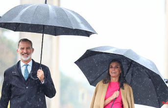 Visit to the Brandenburg Gate: Felipe and Letizia are standing in the rain