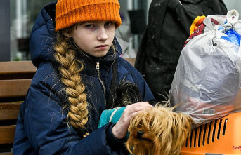 UNICEF releases figures: Russia's war pushes millions of children into poverty