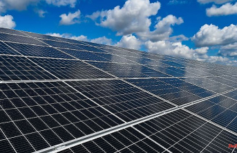 Mecklenburg-West Pomerania: 5000 hectares of fields for solar: start for the first 150 hectares