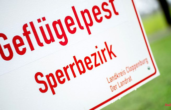 North Rhine-Westphalia: Third avian influenza case: 8700 animals killed