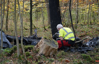 Accident in Baden-Württemberg: Two men die in a plane crash