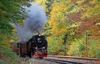 Saxony-Anhalt: Fires in the Harz Mountains are particularly common on the narrow-gauge railway