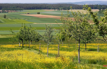 Bavaria: Bavarian Orchard Pact: 130,000 new trees in 2022