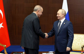 Hub, pipelines, price exchange: Putin wants to turn Turkey into a gas center