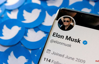 After takeover of Twitter: Musk declares himself "Chief Twit"