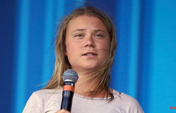 "Greenwashing Forum": Greta Thunberg does not travel to the UN climate summit