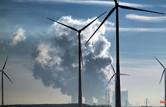 Thanks to wind and solar energy: CO2 emissions are increasing less than expected