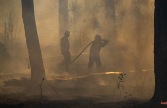 Saxony: Expert: Europe needs a common forest fire strategy