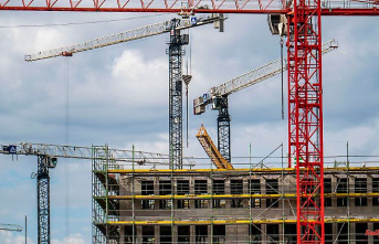 Industry "extremely insecure": number of building permits collapses