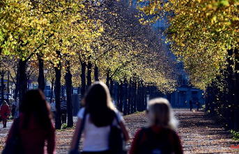 The weather week in a quick check: Golden October remains on record course
