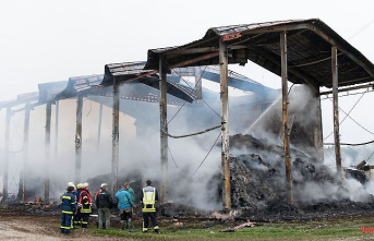 Baden-Württemberg: More than a hundred cows die in a barn fire