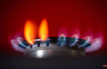 Thuringia: Criticism of proposals by the gas price commission