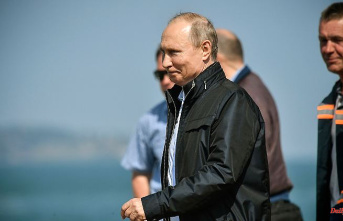 Prestigious target: Crimean bridge explosion shows Putin's weakness