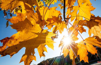 Baden-Württemberg: Late autumn at its best: up to 26 degrees expected